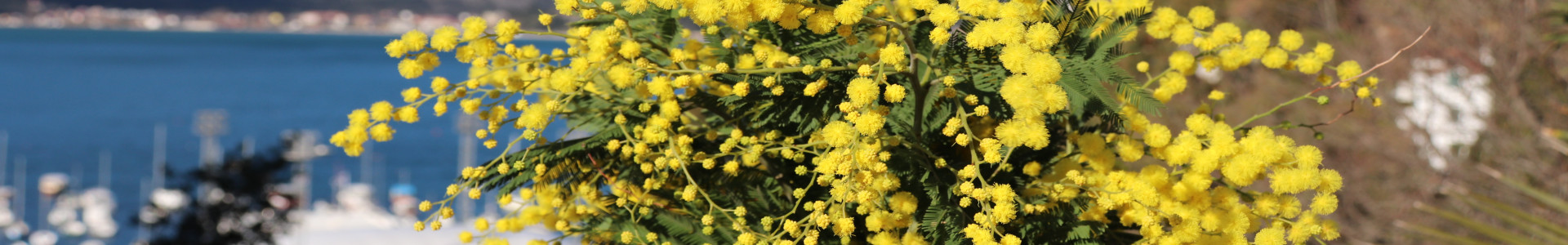 Trebinje-Herceg Novi-Kotor-Ostrog